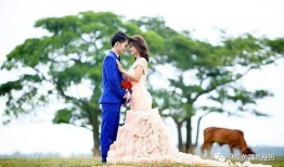 911红领巾爆料吃瓜婚纱,吃瓜婚纱背后的惊人真相